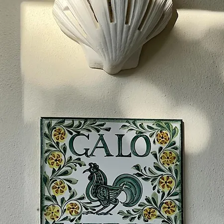 Appartement 233 Casa Galo